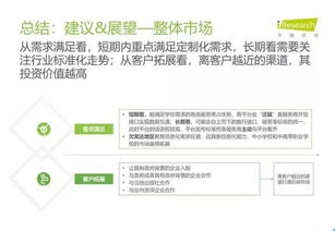 2019年中國教育信息化行業(yè)報告 信息技術咨詢服務