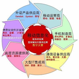 信息化的概念與信息技術(shù)咨詢服務(wù)